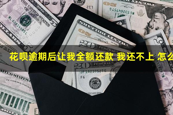 花呗逾期后让我全额还款 我还不上 怎么办
